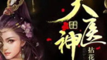 天医神凰,传奇医术与神秘凤凰的传奇之旅